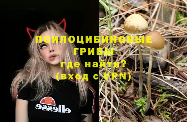 гидра Пролетарск