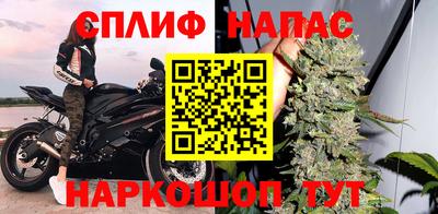 дмт Кудрово