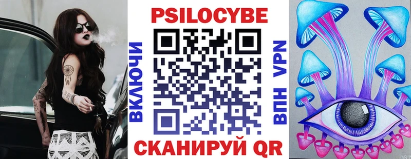 Псилоцибиновые грибы Psilocybe  купить  сайты  Нижнекамск 