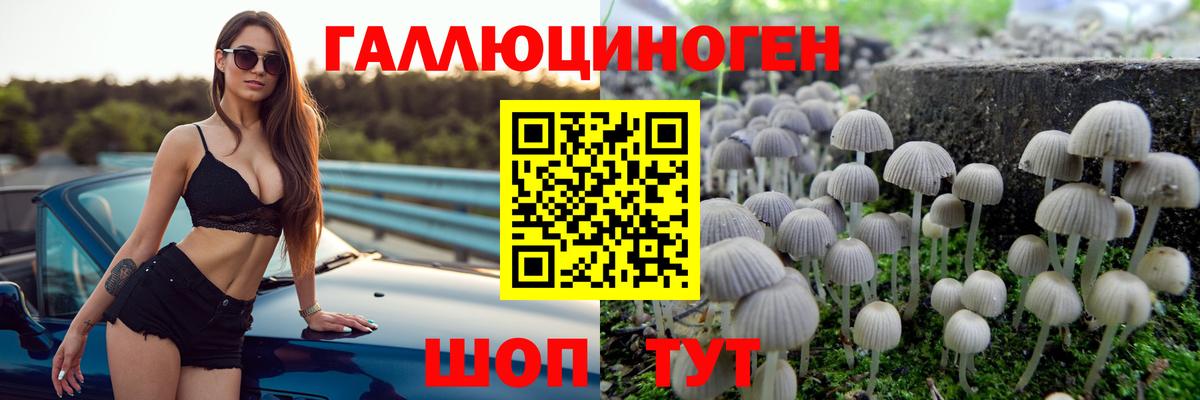 Галлюциногенные грибы Psilocybine cubensis  Вход с VPN  Нижнекамск 