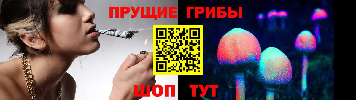 Псилоцибиновые грибы MAGIC MUSHROOMS Нижнекамск