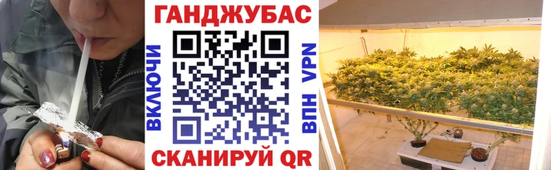 Канабис сатива  купить   kraken как войти  Нижнекамск 